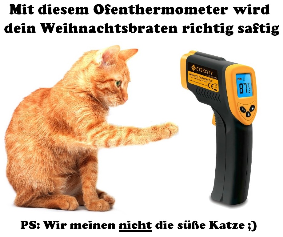 Ofenthermometer